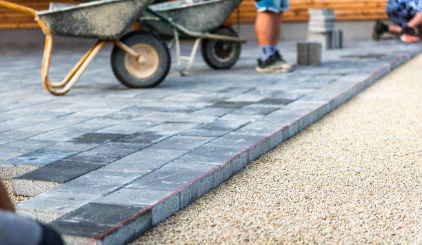 Best Driveway Paving Contractor  in Coal City, IL